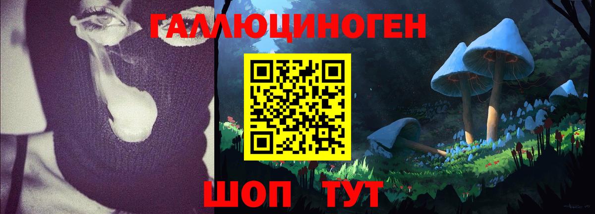 Галлюциногенные грибы прущие грибы  купить наркоту  Иваново  Псилоцибиновые грибы Cubensis  Вход с VPN 